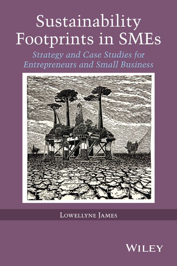 Sustainability Footprints in SMEs By Lowellyne James 9781118779439