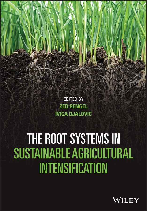 The Root Systems in Sustainable Agricultural Intensification