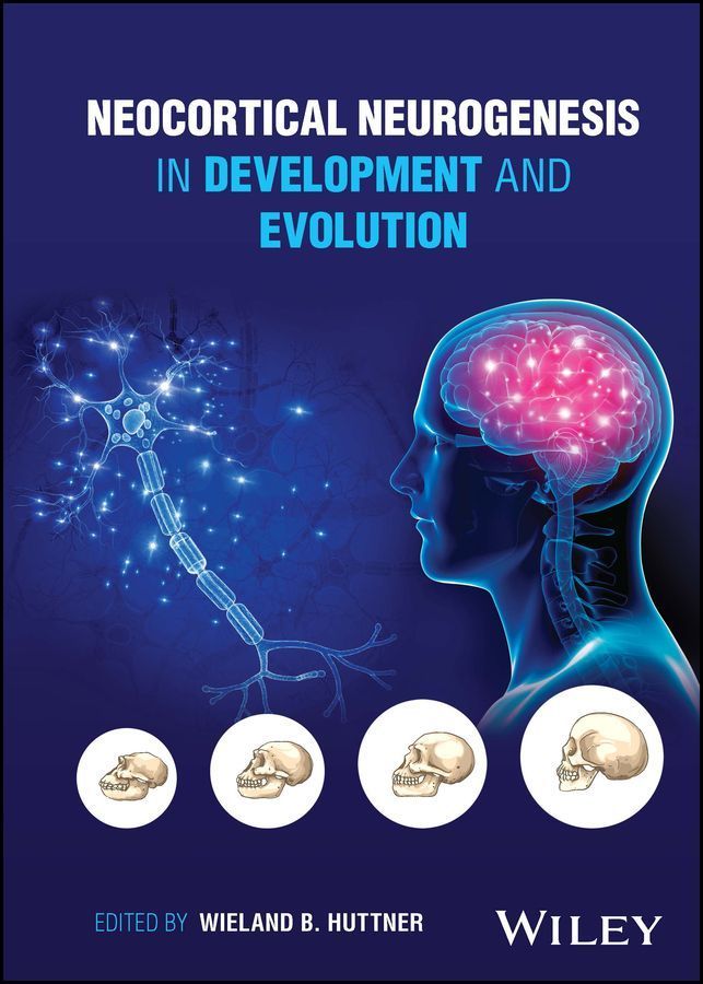 Neocortical Neurogenesis in Development and Evolution 9781119860808