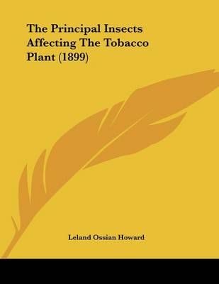 The Principal Insects Affecting The Tobacco Plant (1899) 9781120917799