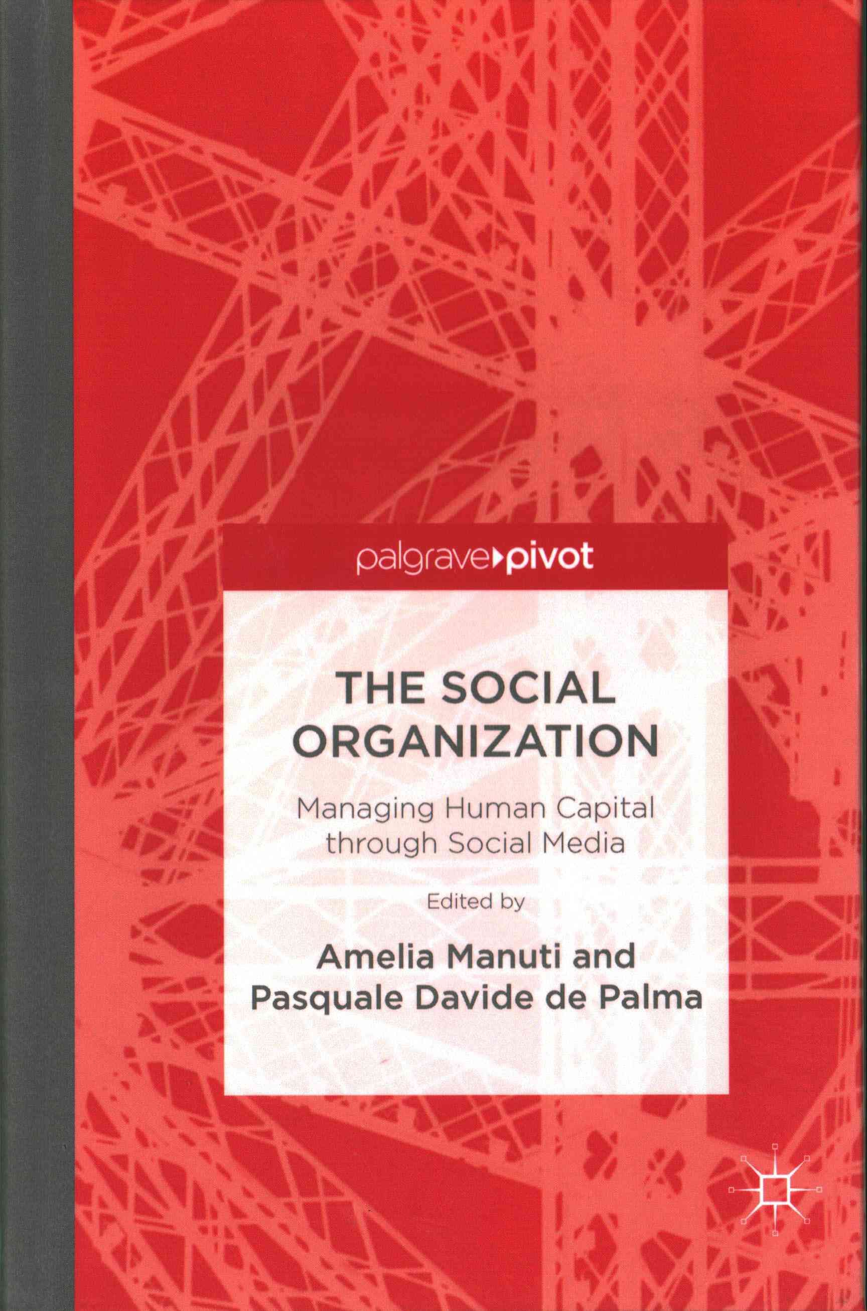 The Social Organization 9781137585349 (Hardback)