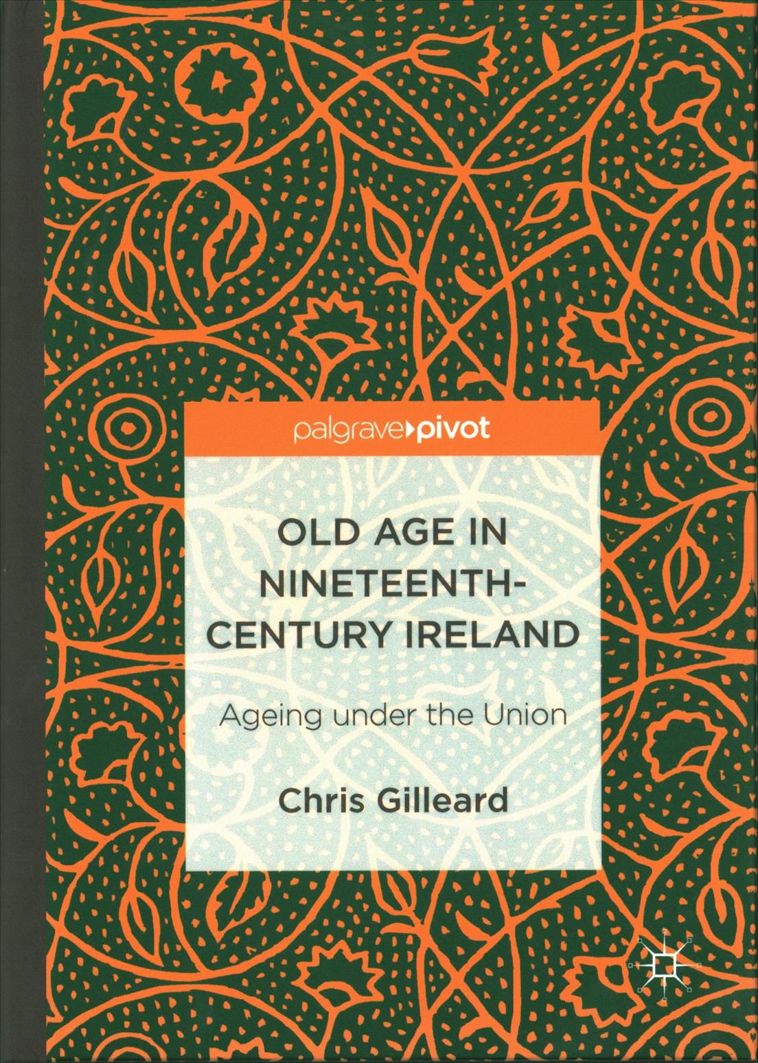 Old Age in Nineteenth-Century Ireland : Ageing under the Union
