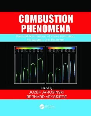 Combustion Phenomena 9781138113886 (Paperback)
