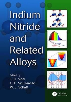 Indium Nitride and Related Alloys 9781138116726 (Paperback)