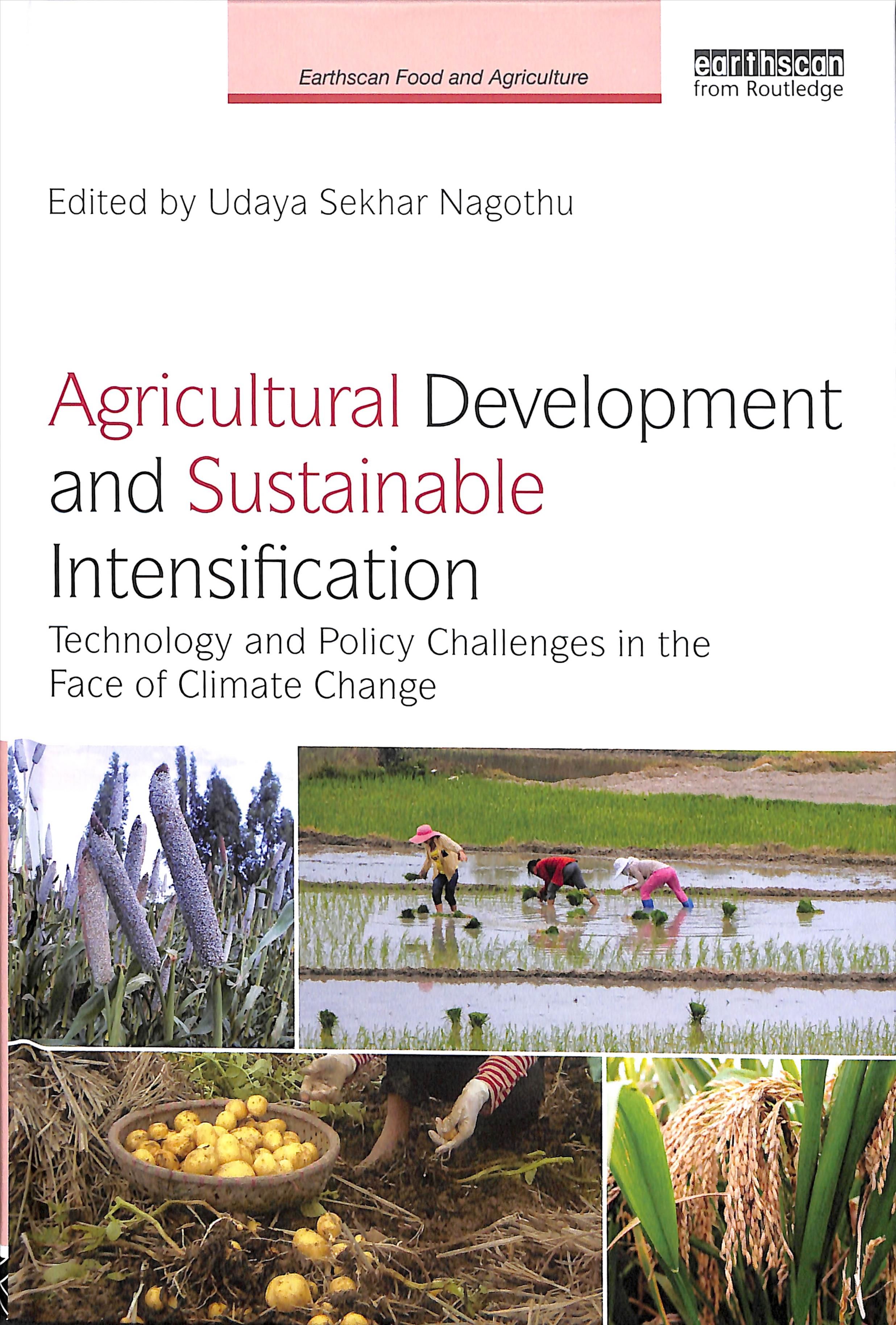 Agricultural Development and Sustainable Intensification 9781138300590
