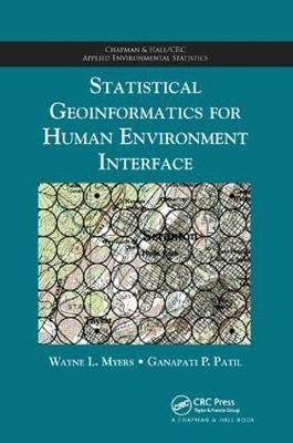 Statistical Geoinformatics for Human Environment Interface (Paperback)