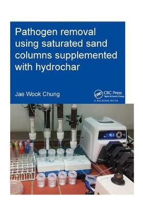 Pathogen Removal Using Saturated Sand Columns Supplemented With Hydrochar