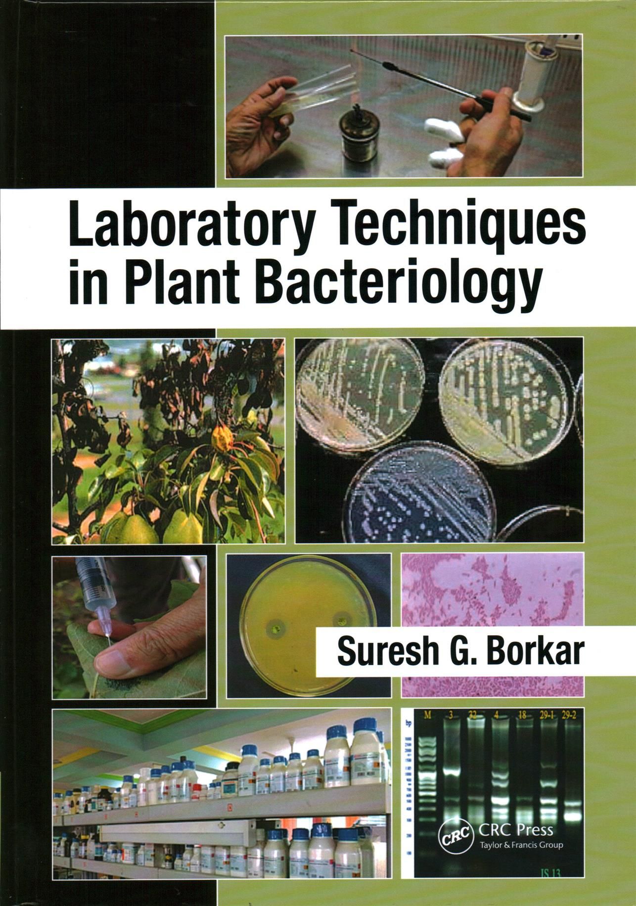 Laboratory Techniques in Plant Bacteriology By S. G. Borkar (Hardback)
