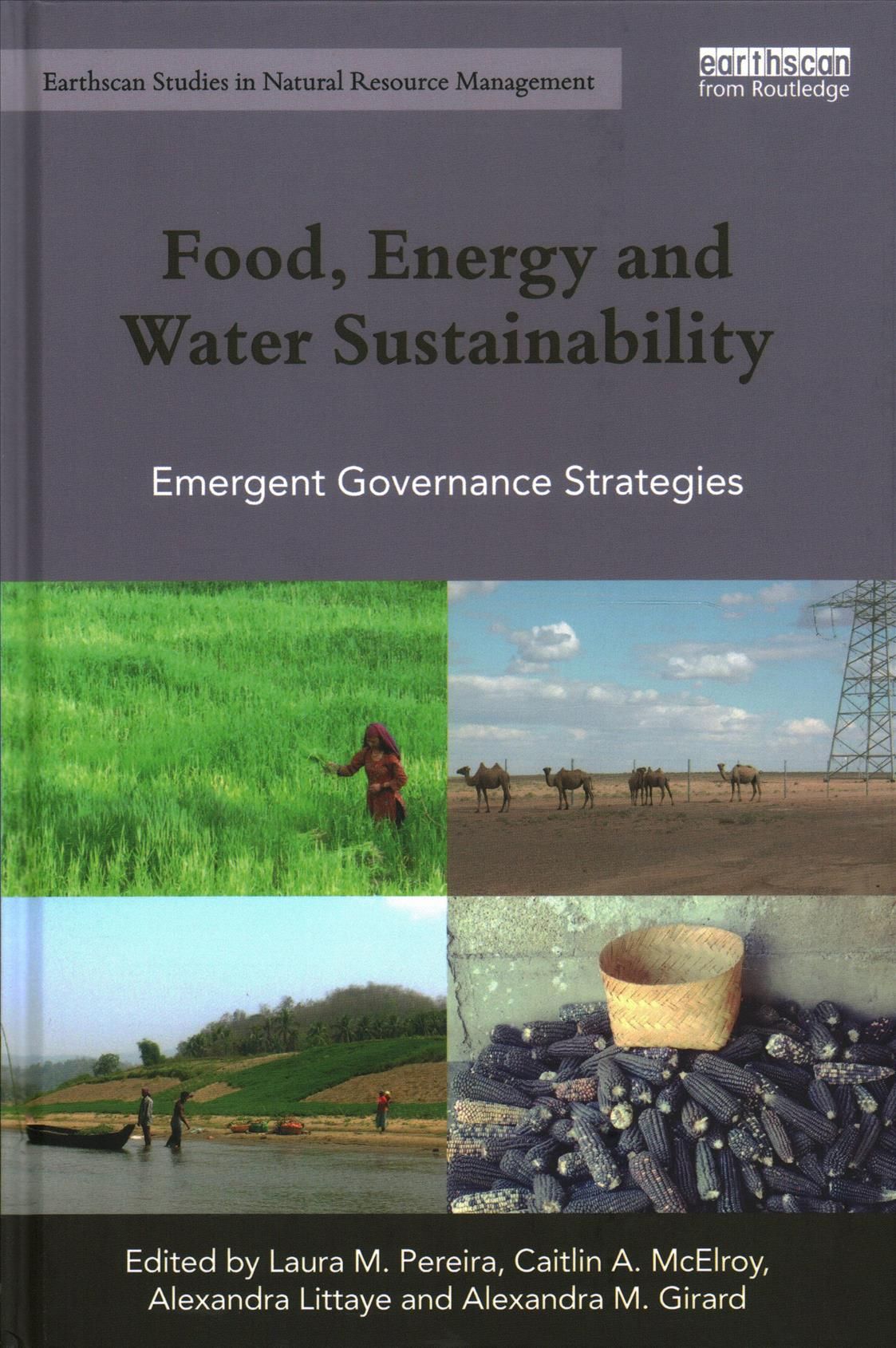 Food, Energy and Water Sustainability 9781138904095 (Hardback)