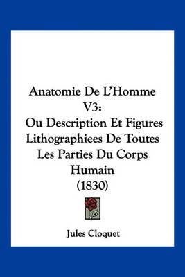 Anatomie De L'Homme V3 By Jules Cloquet 9781160785570 (Paperback)