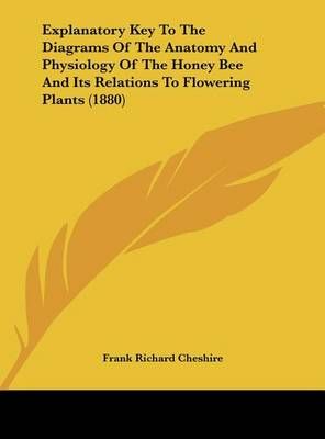 Explanatory Key to the Diagrams of the Anatomy and Physiology of the Honey Bee and Its Relations to Flowering Plants (1880)