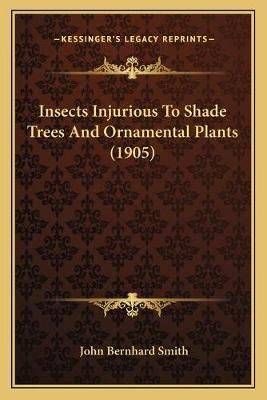 Insects Injurious To Shade Trees And Ornamental Plants (1905)
