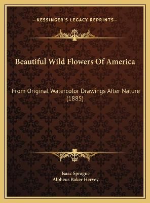 Beautiful Wild Flowers Of America 9781169697522 (Hardback)