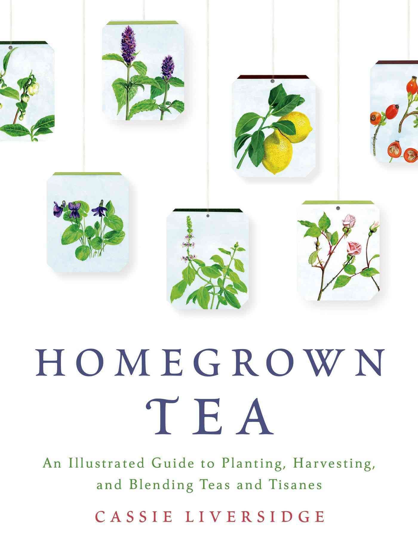 Homegrown Tea By Cassie Liversidge 9781250039415 (Paperback)