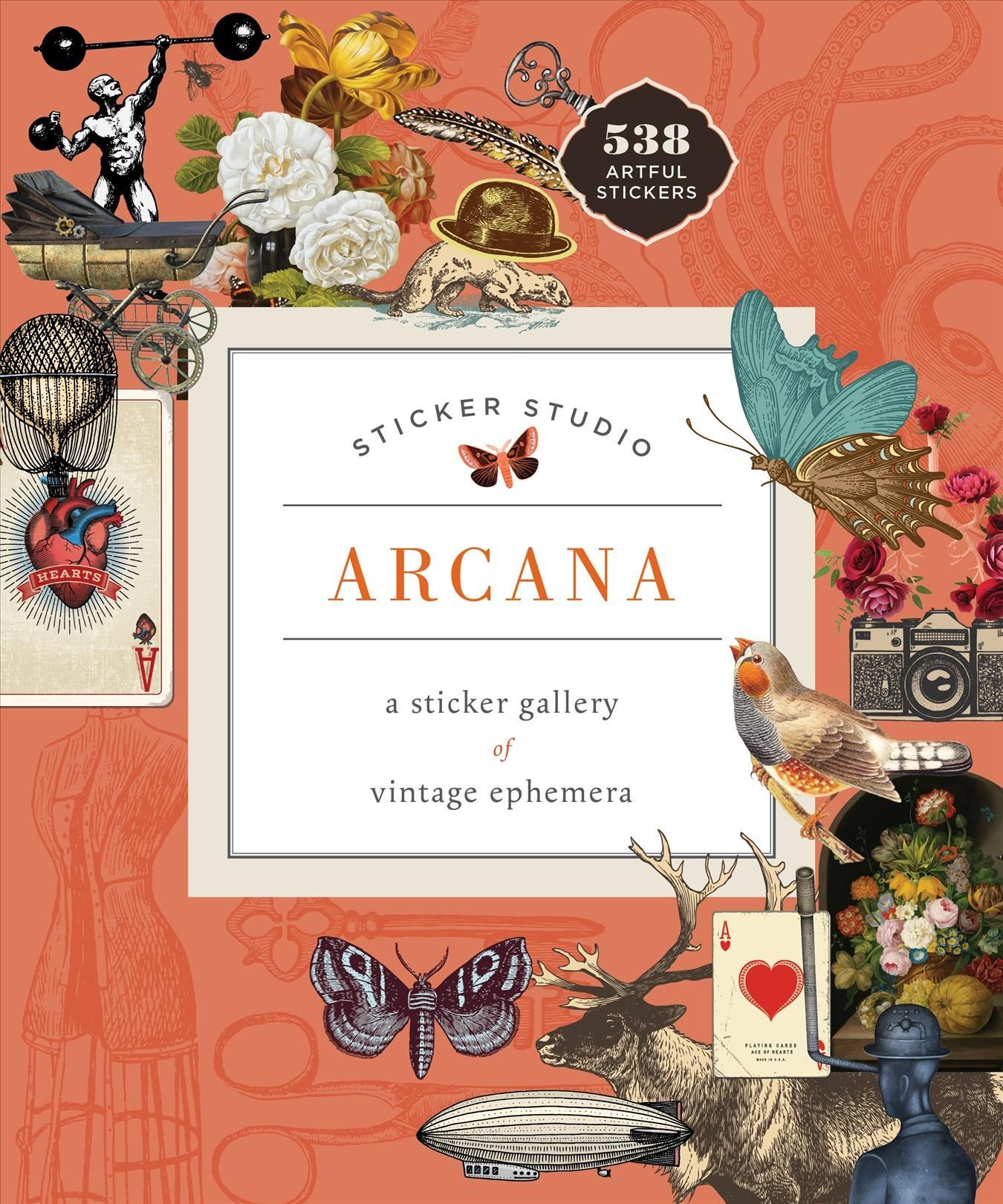 Sticker Studio: Arcana By Chloe Standish 9781250279330 (Hardback)