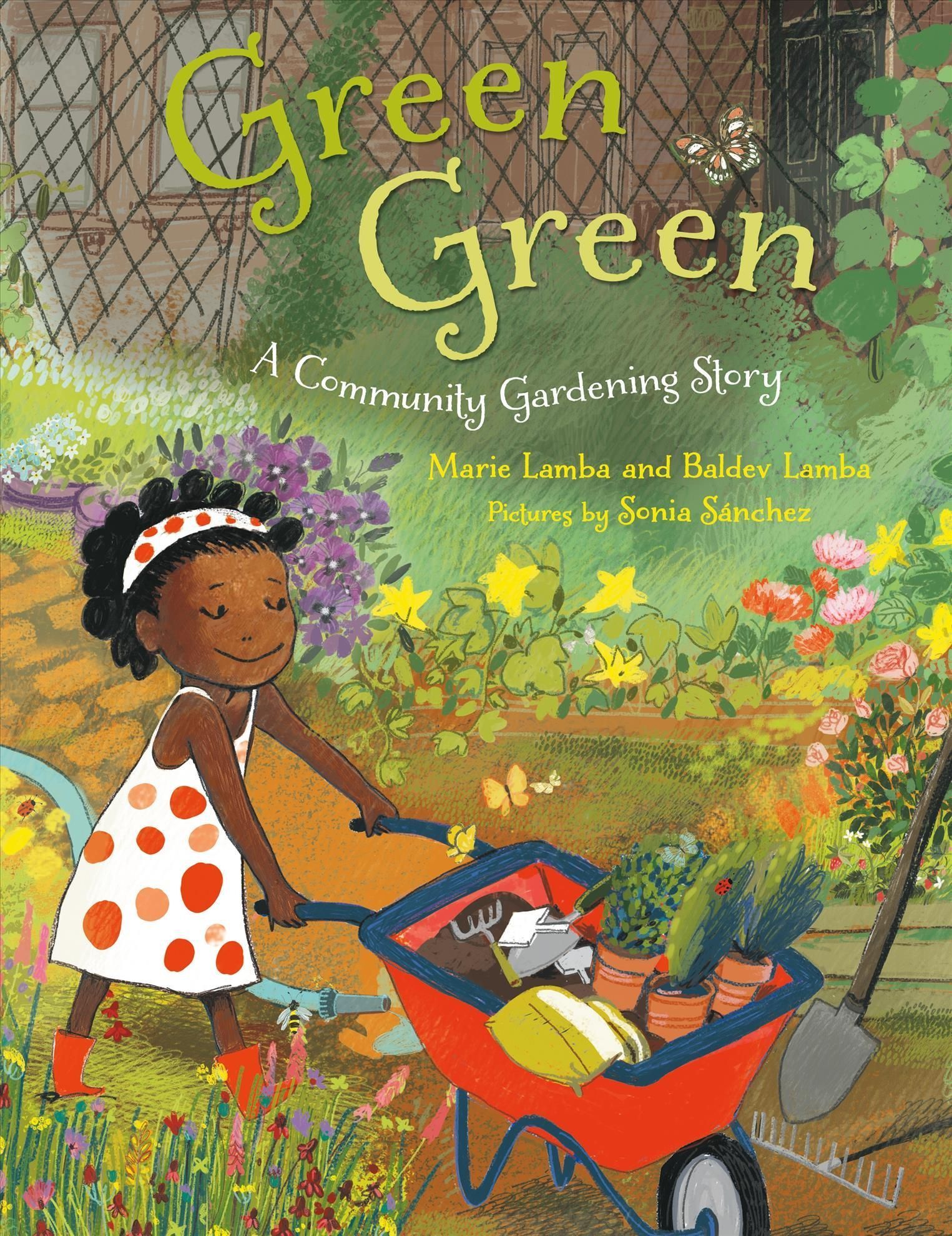 Green Green 9781250858535 (Paperback)