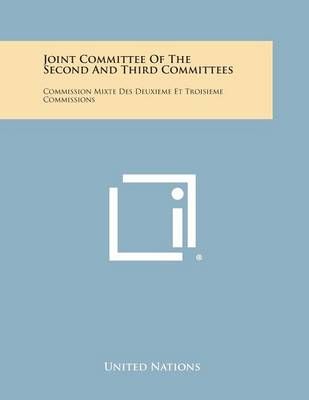 Joint Committee of the Second and Third Committees By United Nations