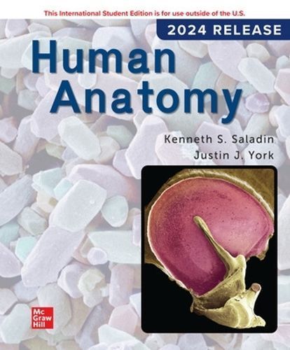 Human Anatomy: 2024 Release ISE By Kenneth Saladin 9781266820649