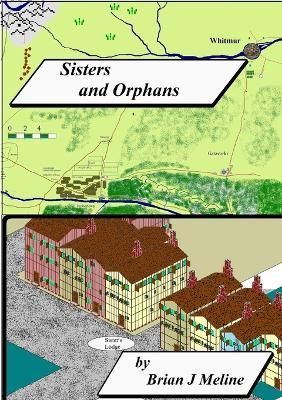 Sisters and Orphans By Meline 9781300446958 (Paperback)