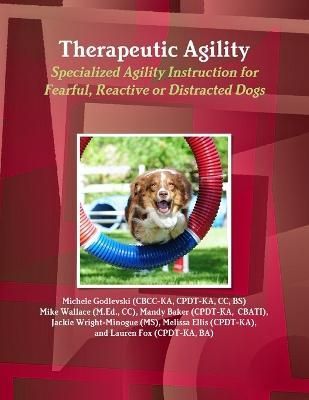 Therapeutic Agility By Godlevski 9781300494973 (Paperback)
