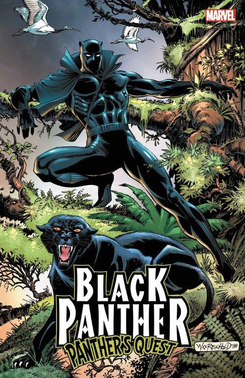 Black Panther: Panther's Quest By Don McGregor 9781302908034