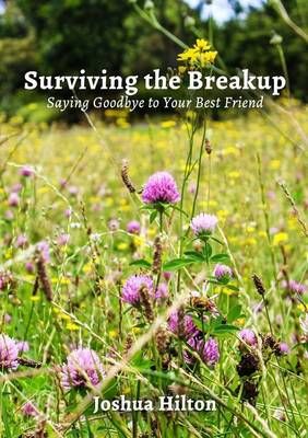 Surviving the Breakup: Saying Goodbye to Your Best Friend (Paperback)