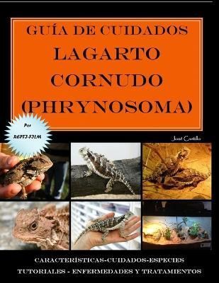 Guía De Cuidados Del Lagarto Cornudo (Phrynosoma) Versión Full Color