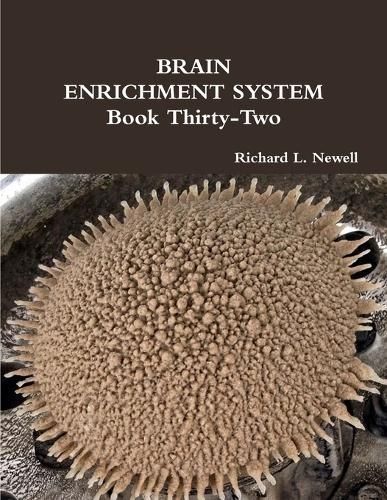 BRAIN ENRICHMENT SYSTEM Book Thirty-Two By Richard L Newell