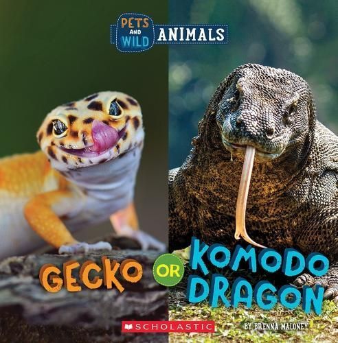 Gecko or Komodo Dragon By Brenna Maloney 9781338899863 (Book)