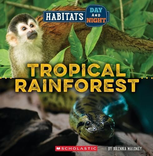 Tropical Rainforest By Brenna Maloney 9781339020785 (Book)