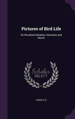 Pictures of Bird Life By R B Lodge 9781341777509 (Hardback)