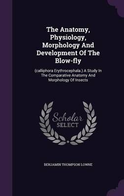 The Anatomy, Physiology, Morphology And Development Of The Blow-Fly