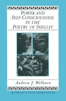 Power and Self-Consciousness in the Poetry of Shelley 9781349182800