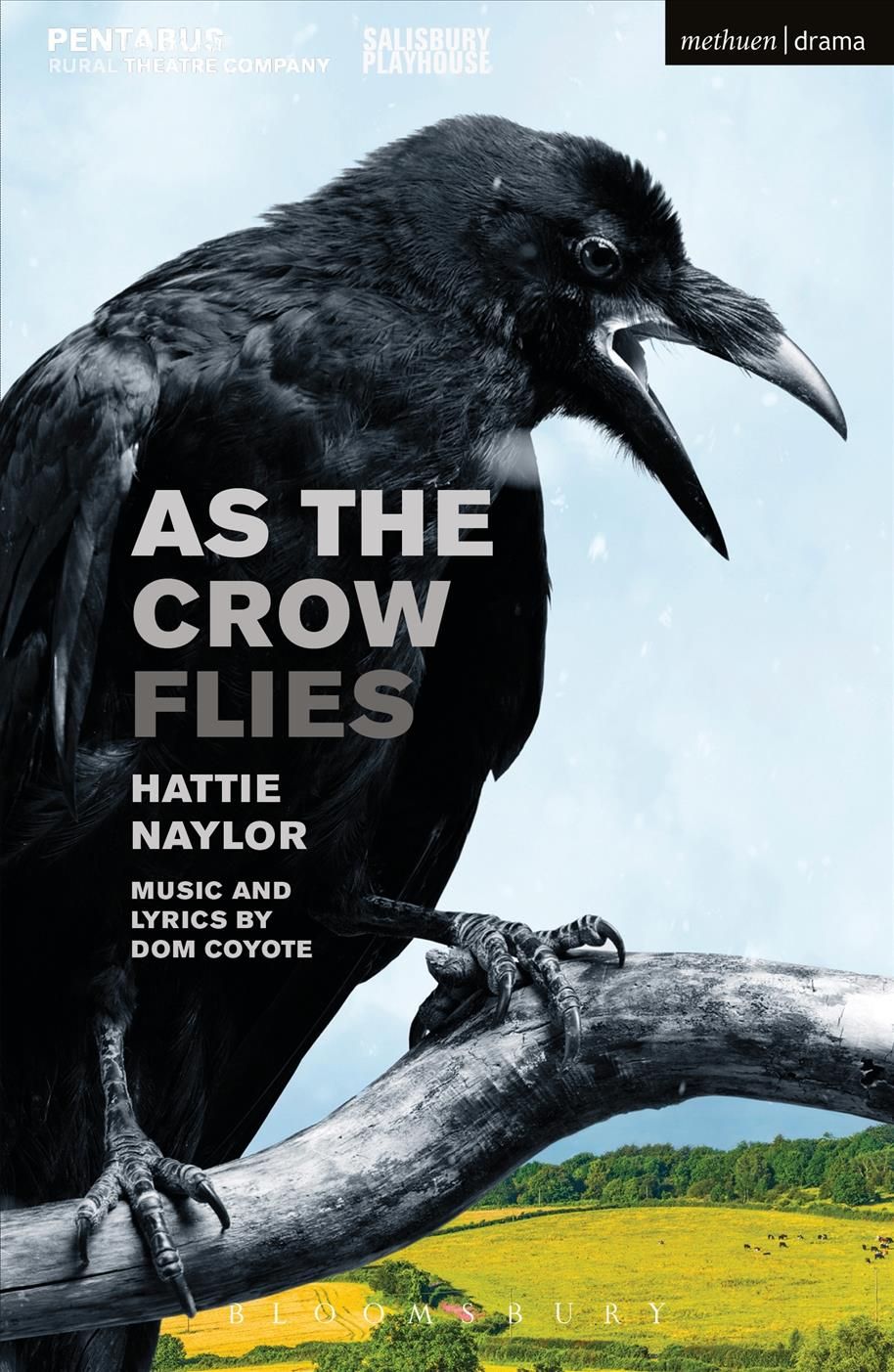As the Crow Flies By Hattie Naylor, Dom Coyote 9781350042452
