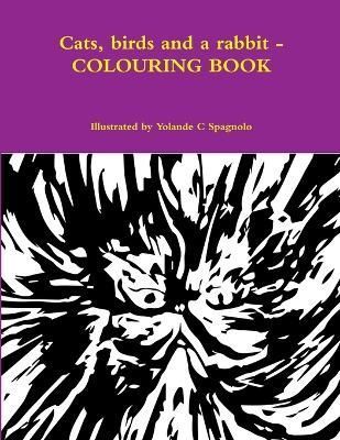 Cats, Birds and a Rabbit - Colouring Book By Yolande C Spagnolo