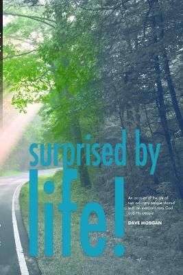 Surprised By Life By Dave Morgan 9781365774089 (Paperback)