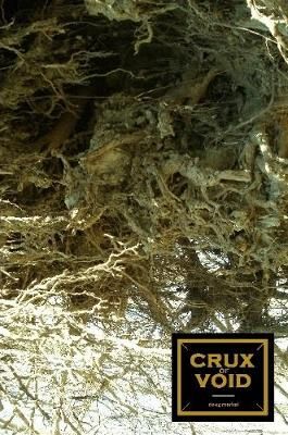 crux of void By Doug Markel 9781387144426 (Paperback)