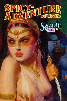Spicy Adventure Stories By Mini Komix 9781387238958 (Paperback)