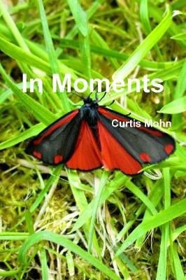 In Moments By Mohn 9781387241989 (Paperback)