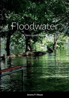 Floodwater By Moyes 9781387497652 (Paperback)