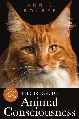 Bridge to Animal Consciousness (paperback) By Bourke 9781387840502