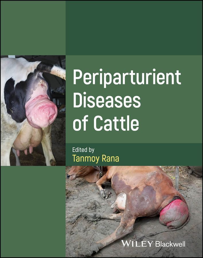 Periparturient Diseases of Cattle By Tanmoy Rana (editor) (Hardback)