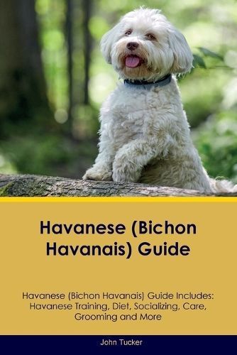 Havanese (Bichon Havanais) Guide Havanese Guide Includes By Tucker