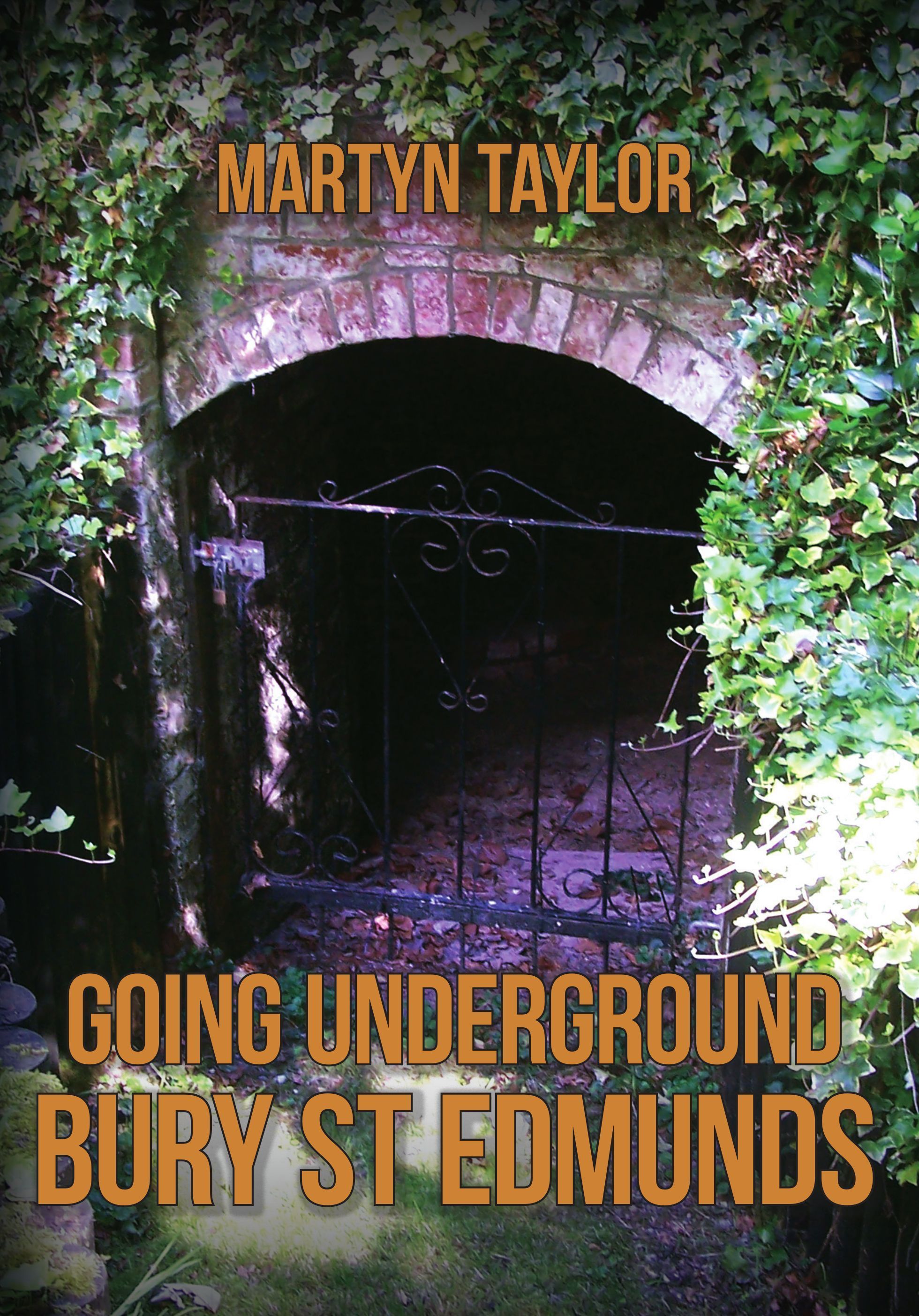 Going Underground: Bury St Edmunds By Martyn Taylor 9781398105089