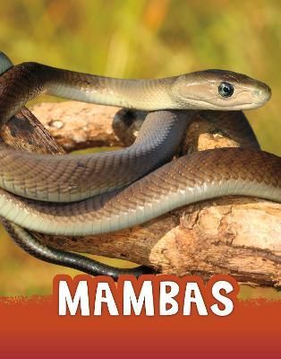Mambas By Jaclyn Jaycox 9781398213166 (Paperback)