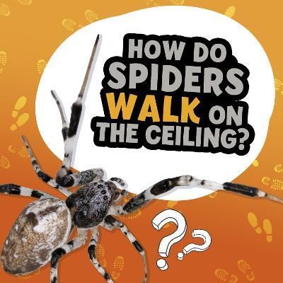 How Do Spiders Walk on the Ceiling? By Nancy Dickmann 9781398215672