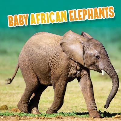 Baby African Elephants By Martha E. H. Rustad 9781398223776 (Hardback)