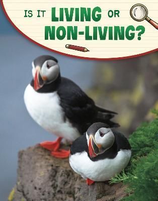 Is It Living or Non-Living? By Lisa M. Bolt Simons 9781398225374