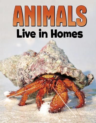 Animals Live in Homes By Nadia Ali 9781398250222 (Hardback)