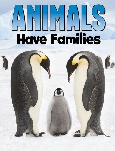 Animals Have Families By Nadia Ali 9781398250246 (Paperback)